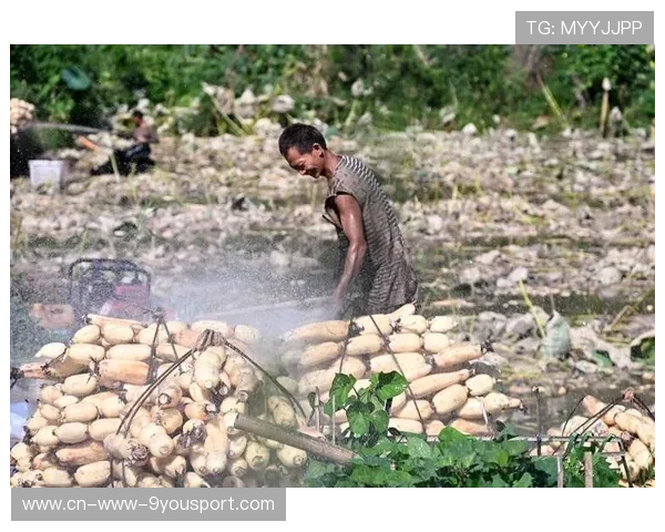 ¦ó¦þ-ÌÍ¦¦Ñ¦¾¦¦+À+¸+¹ÎÍú¼+À+¸¦¥+--++++¤¤¯